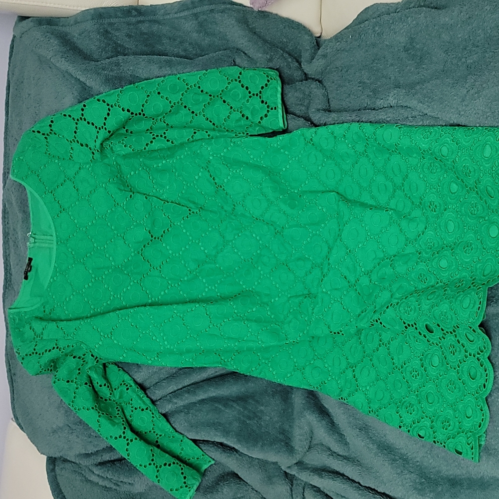 Talbots size 6p green eyelet dress petite